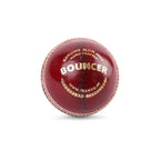SG Bouncer Red Cricket Leather Ball (Pack of 2)