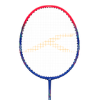 Powertek Junior Badminton Racket (HBRR-3S011-3)