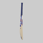 Ceat Storm English Willow Cricket Bat