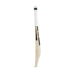 SOMI Vision English Willow Cricket Bat