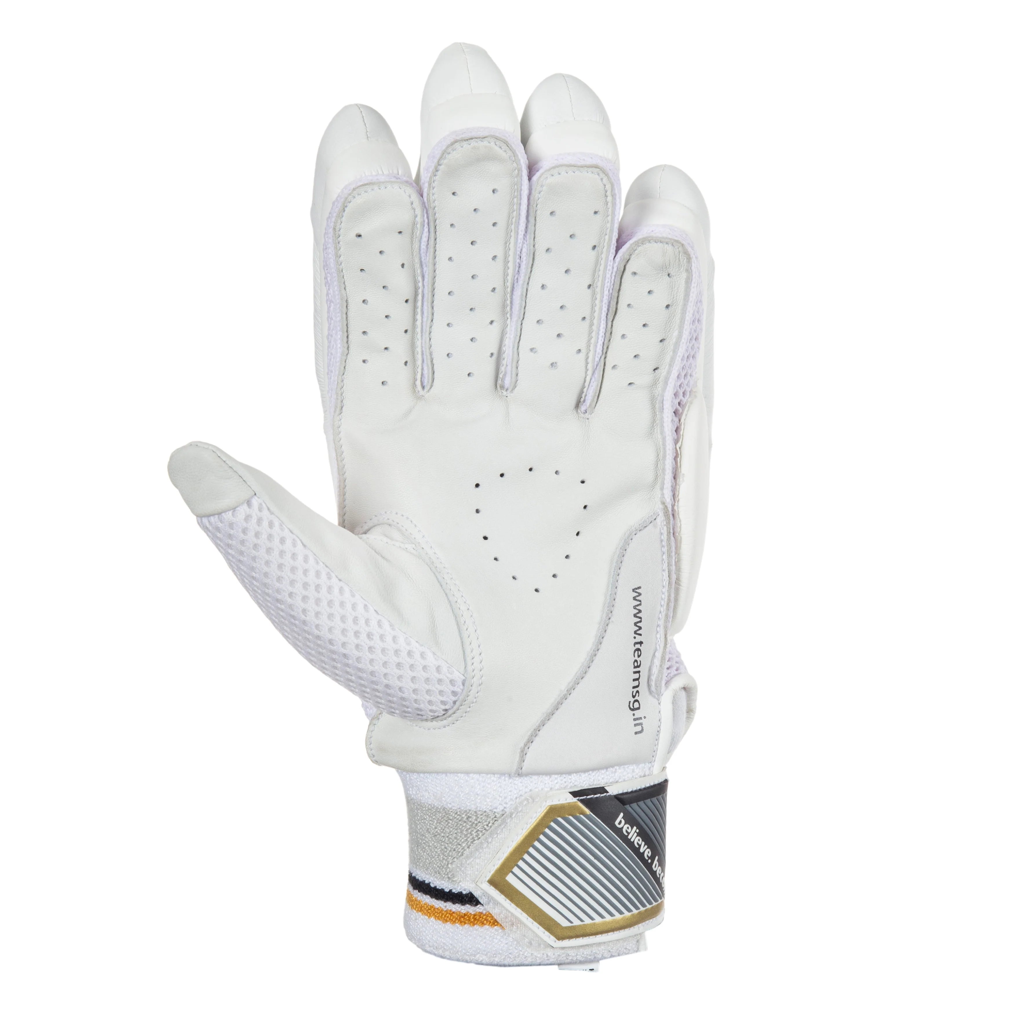 SG Test Pro Batting Gloves