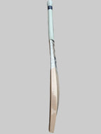 DSC Pearla Glow English Willow Bat