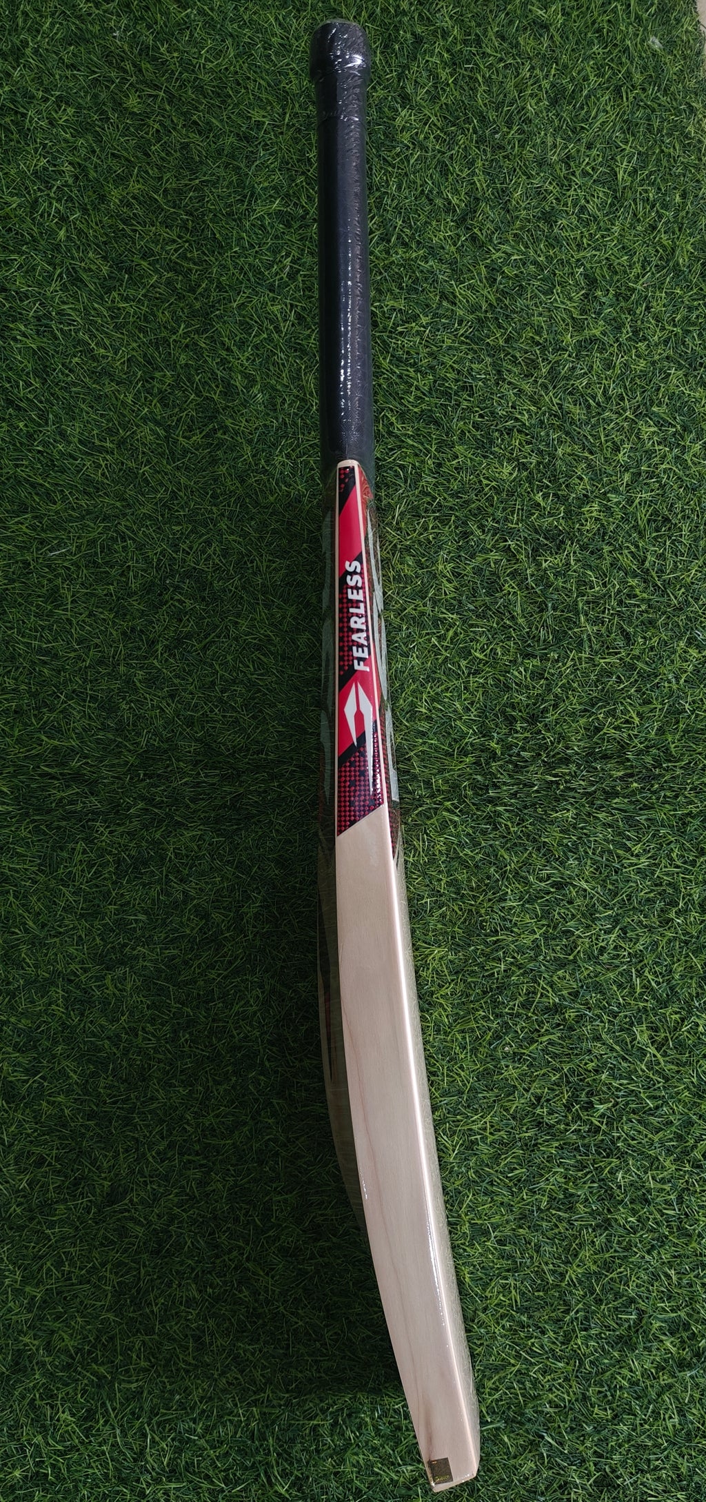 DSC Intense Shoc English Willow Cricket Bat-SH