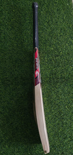 DSC Intense Shoc English Willow Cricket Bat-SH