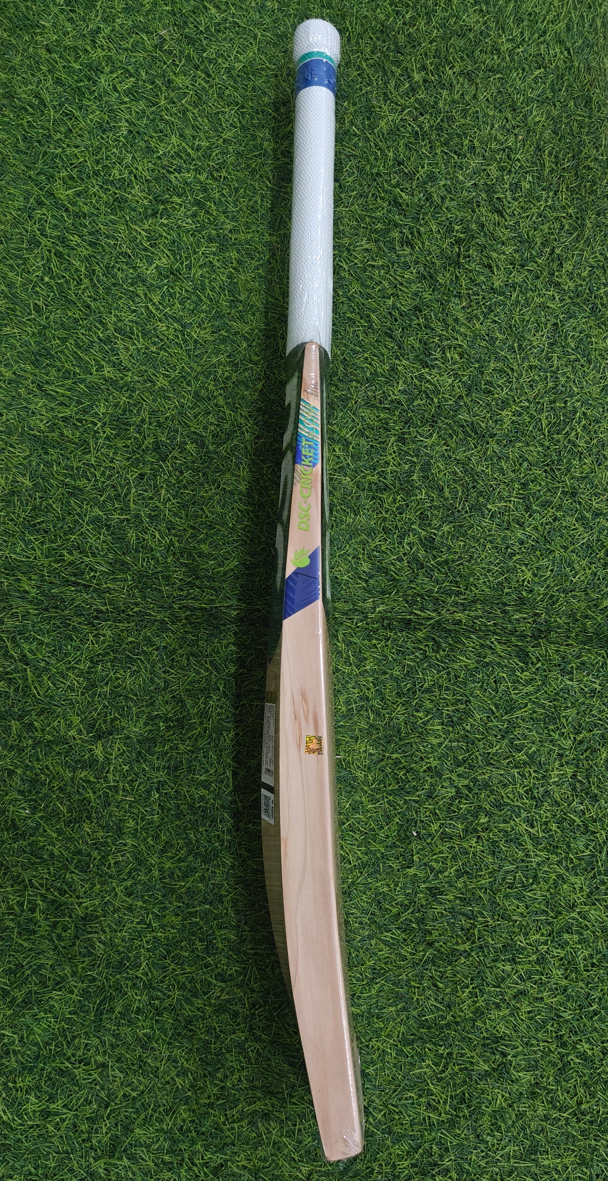 DSC BLU 100 English Willow Cricket Bat-SH