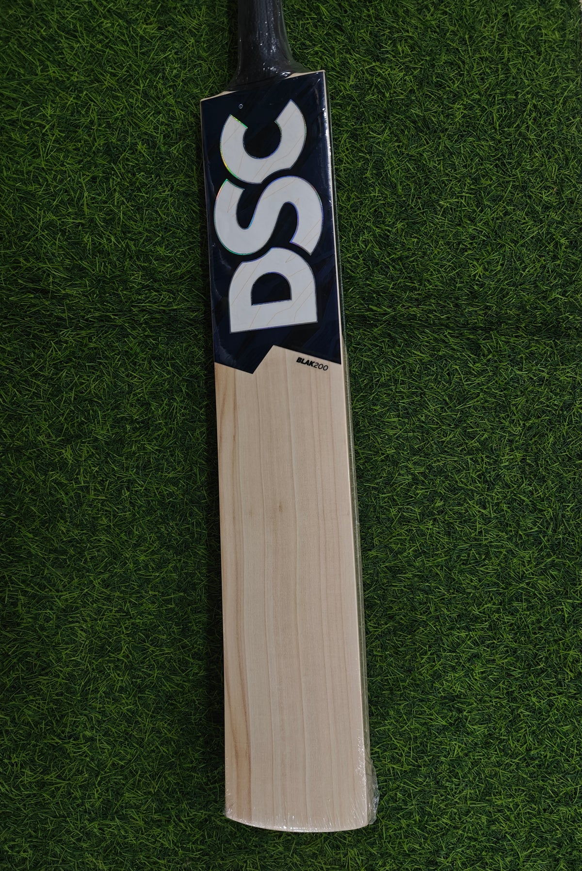 DSC BLAK 200 English Willow Cricket Bat-SH