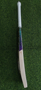 DSC RS040 English Willow Cricket Bat-SH