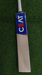 CEAT Storm English Willow Cricket Bat-SH