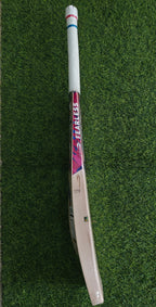 DSC Intense Shoc English Willow Cricket Bat-SH