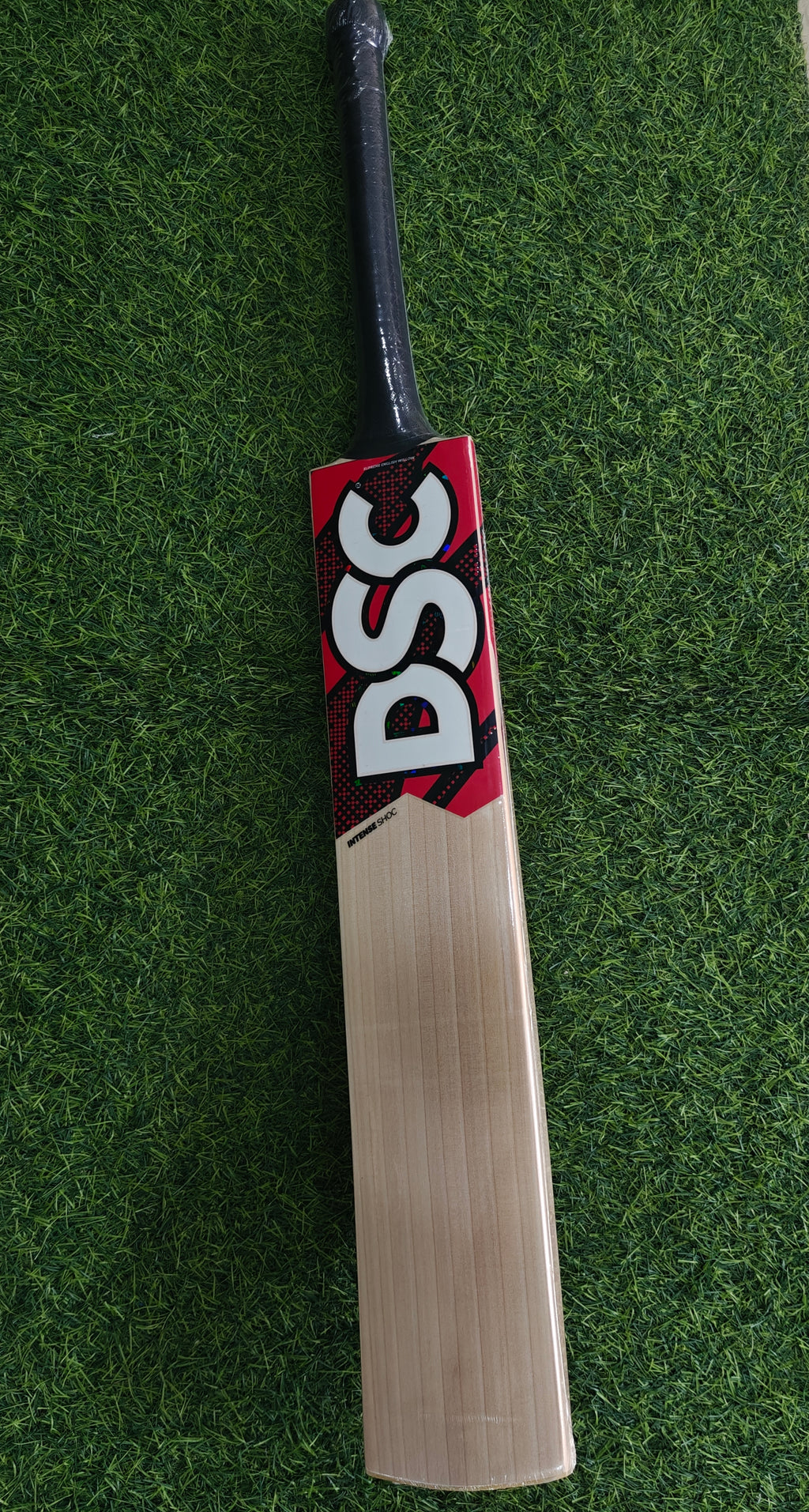 DSC Intense Shoc English Willow Cricket Bat-SH