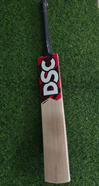 DSC Intense Shoc English Willow Cricket Bat-SH