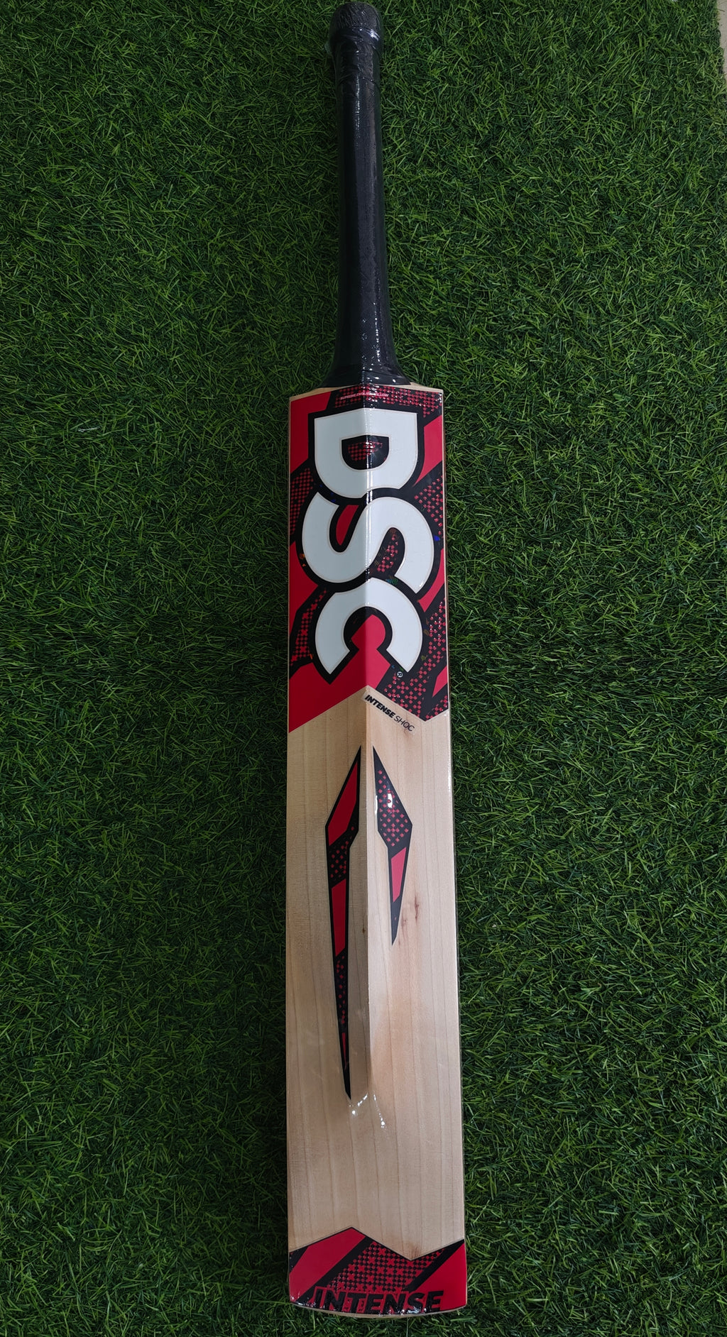 DSC Intense Shoc English Willow Cricket Bat-SH