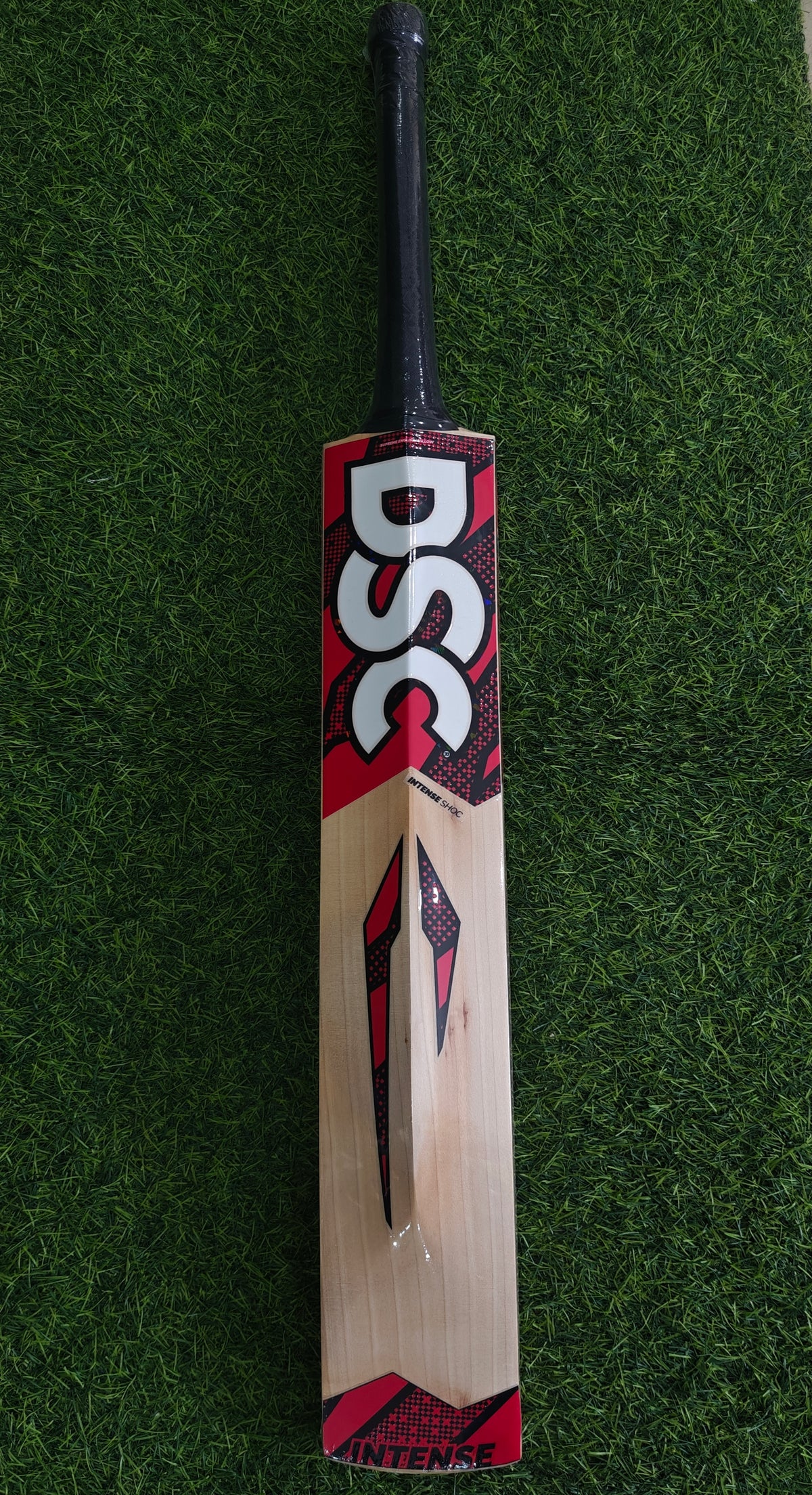 DSC Intense Shoc English Willow Cricket Bat-SH