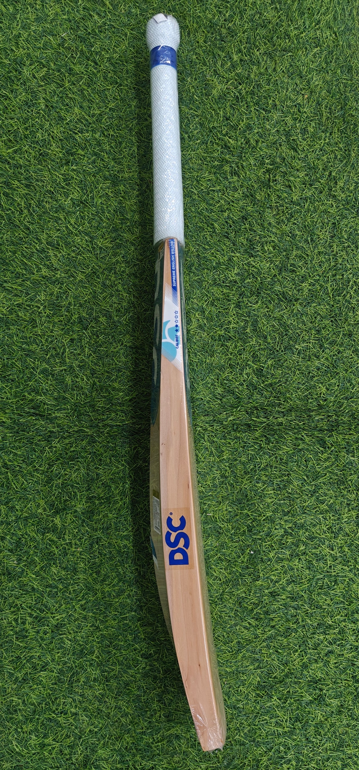 DSC BLU OXIDE English Willow Cricket Bat-SH