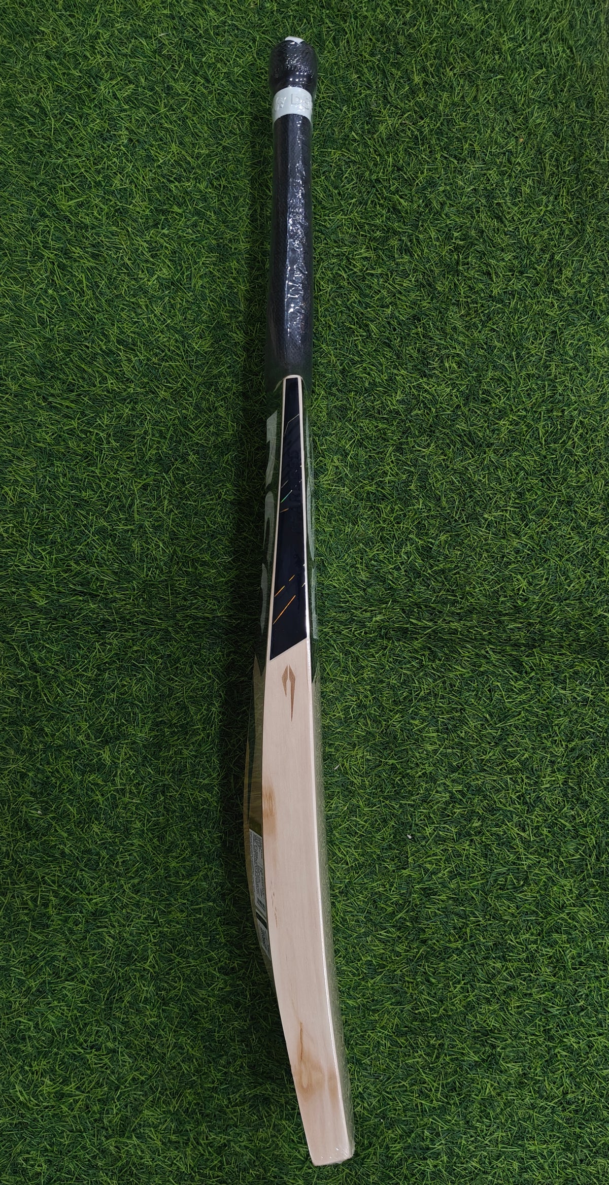 DSC BLAK 222 English Willow Cricket Bat-SH