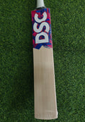 DSC Intense Shoc English Willow Cricket Bat-SH