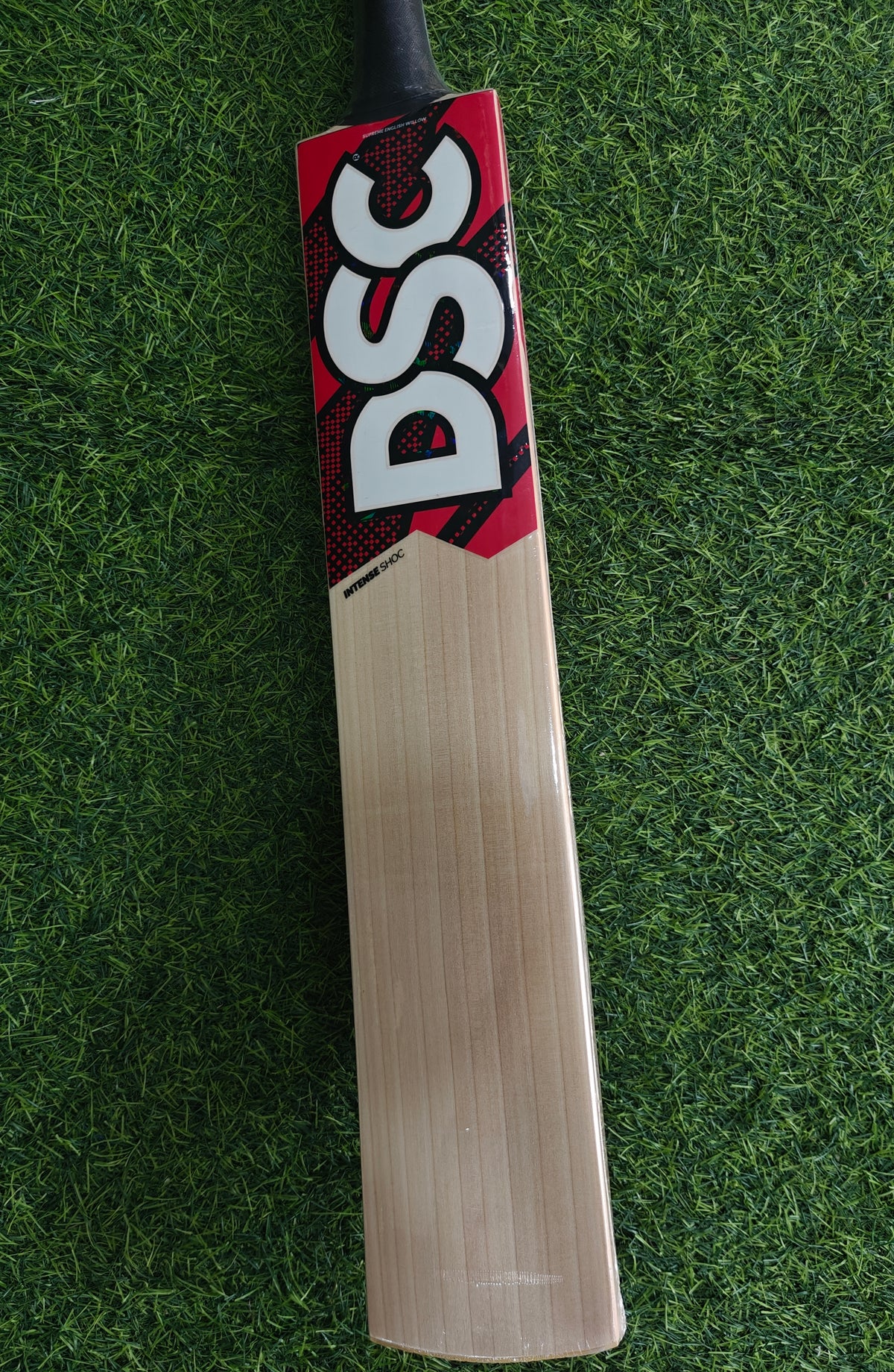 DSC Intense Shoc English Willow Cricket Bat-SH