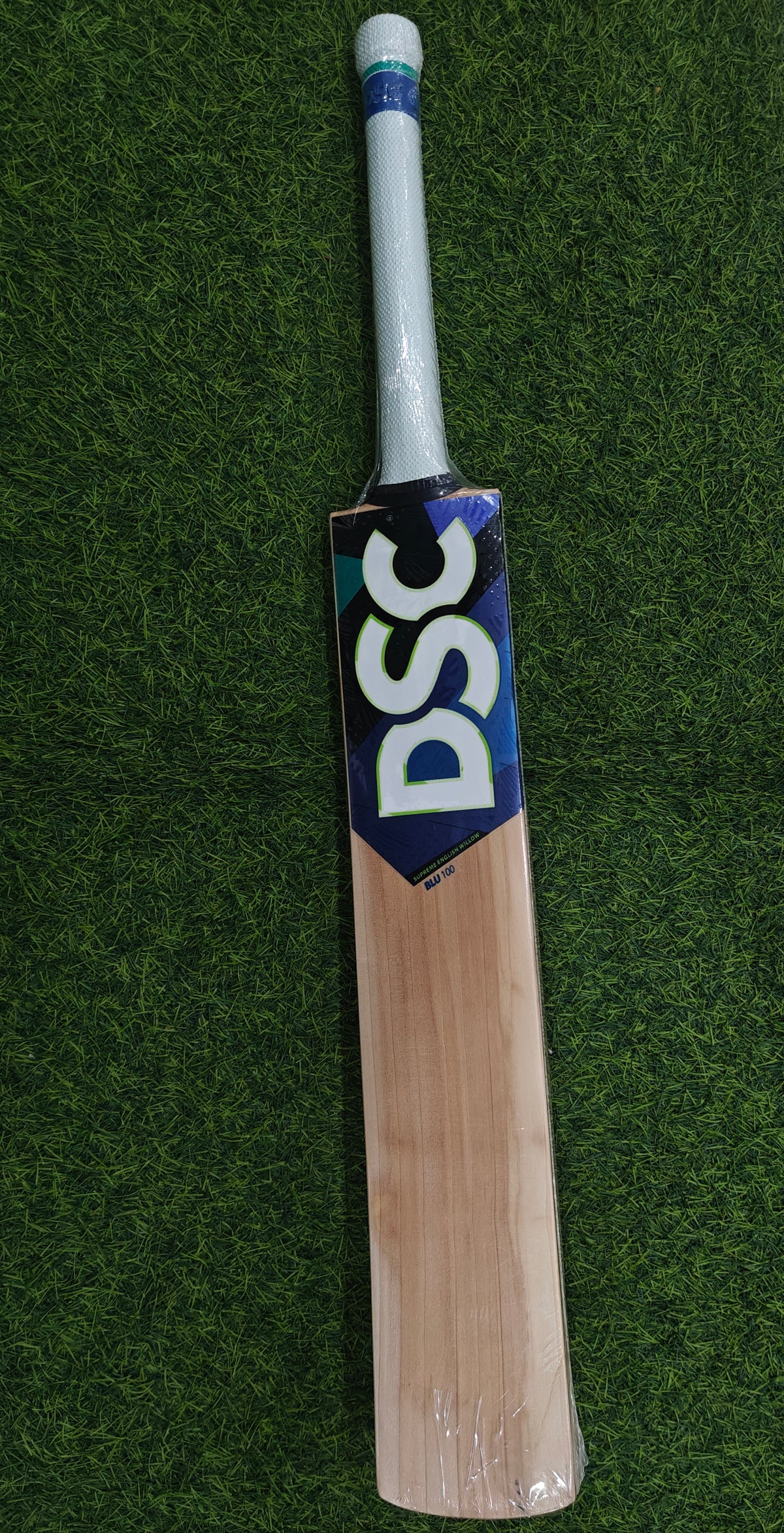 DSC BLU 100 English Willow Cricket Bat-SH