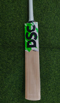 DSC SPLIT 100 English Willow Cricket Bat-SH