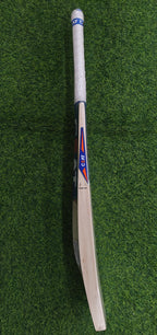 CEAT Storm English Willow Cricket Bat-SH