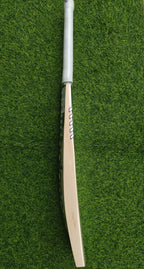NB TC 700i PRO English Willow Cricket Bat-SH